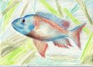 Poisson01